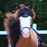 Hrami